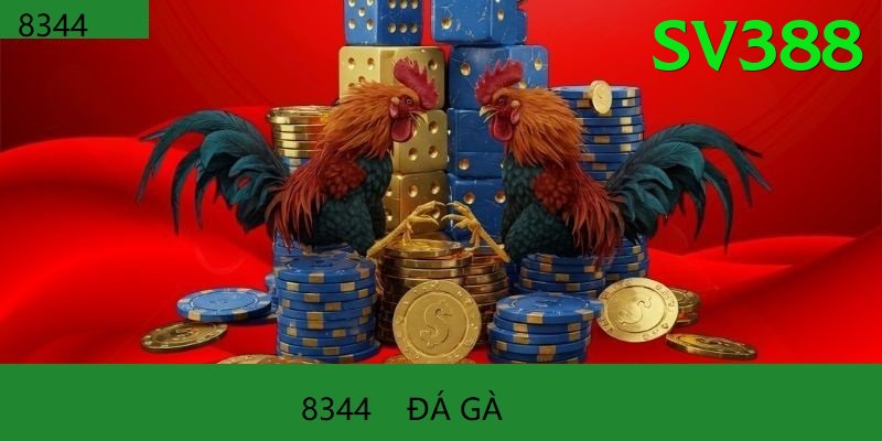 Đá Gà Trực Tiếp - Ưu đãi đặc biệt - Sự kiện