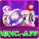 win140 Deluxe Gaming App